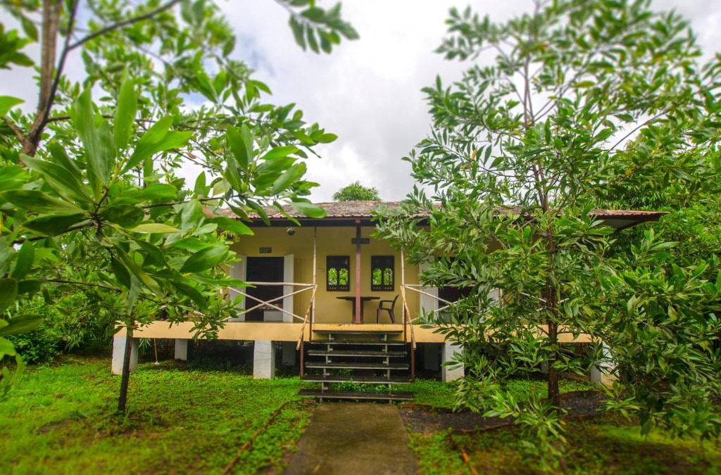 Roha Hotel | JenJon Wood County Phansad Alibaug