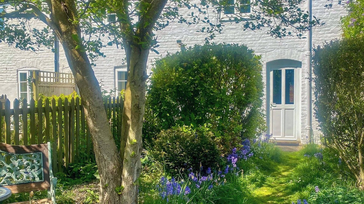 Mundesley Cottage | Jenny's Cottage 27553