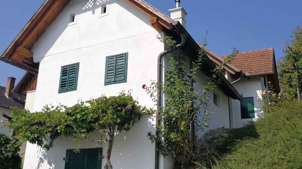 Eberau House | Jewel in the vineyard overlooking Pannonian lowlands 6 people