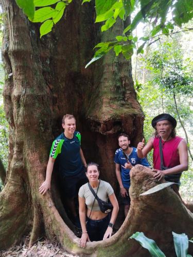 Bukit Lawang House | Jhony's Backpacker-Guest House only stay here book treking with us