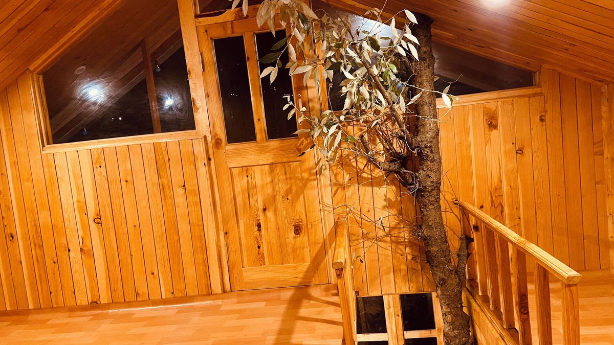 Jibhi Cottage | Jibhi Bliss Treehouse Cottage
