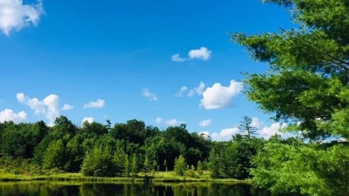 Jim Thorpe House | Jim Thorpe minutes away! Cozy Cabin, Peace & Quiet in Private Lake Community!