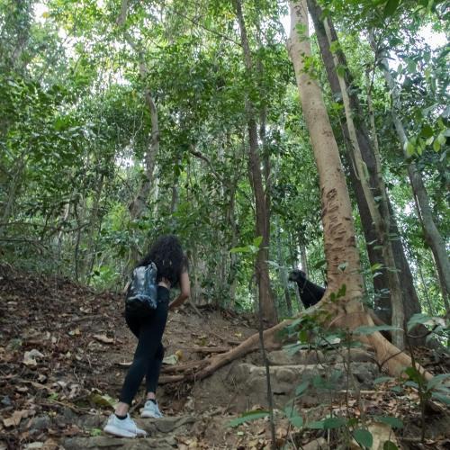 Morong Apartment | JIVA Nest Self-Service Tiny Home in Rainforest Nest with Kitchen - WiFi, Monkeys, Bats!