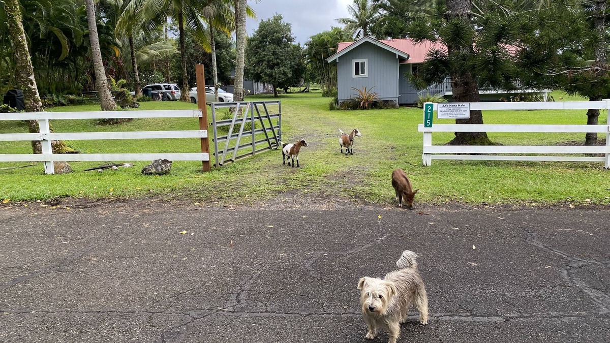 Hana House | JJs Hāna Hale - Farm House