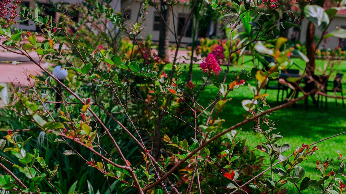 Busia Hotel | JLM HOTEL BUSIA