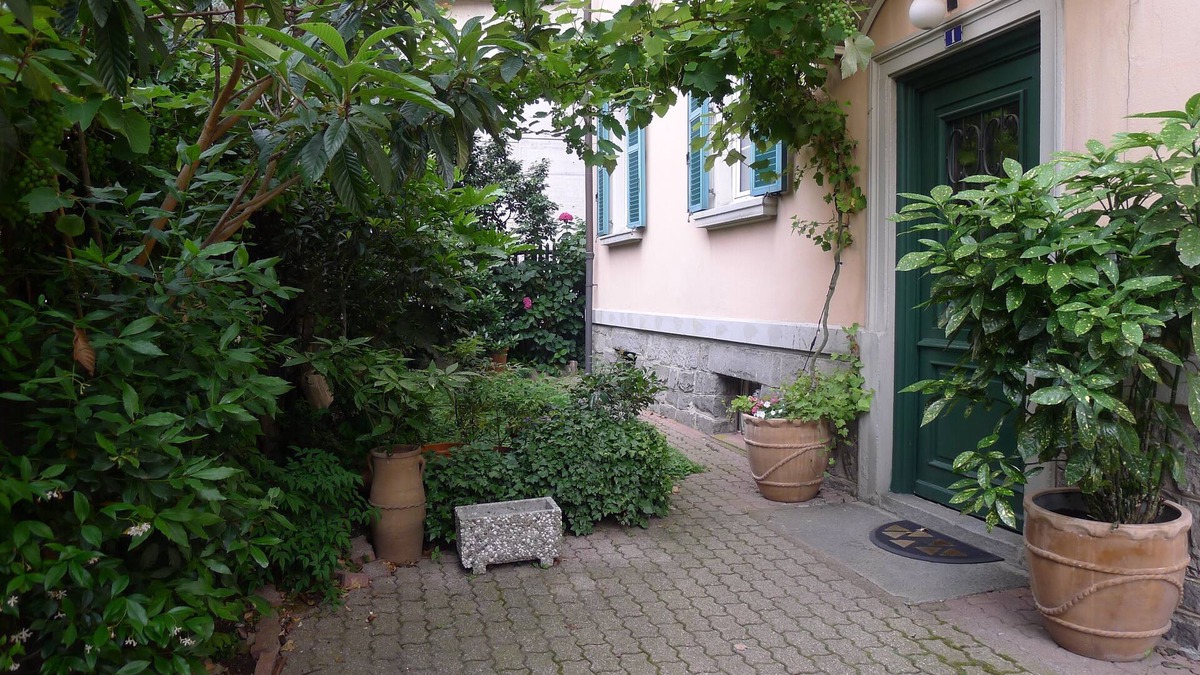 Bellinzona House | Jolanda House
