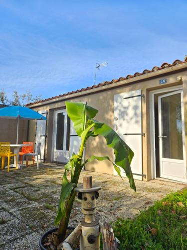 Mareuil-Sur-Lay-Dissais Cabin | Joli Cottage Confort 1 chambre en forêt au Village Vacances