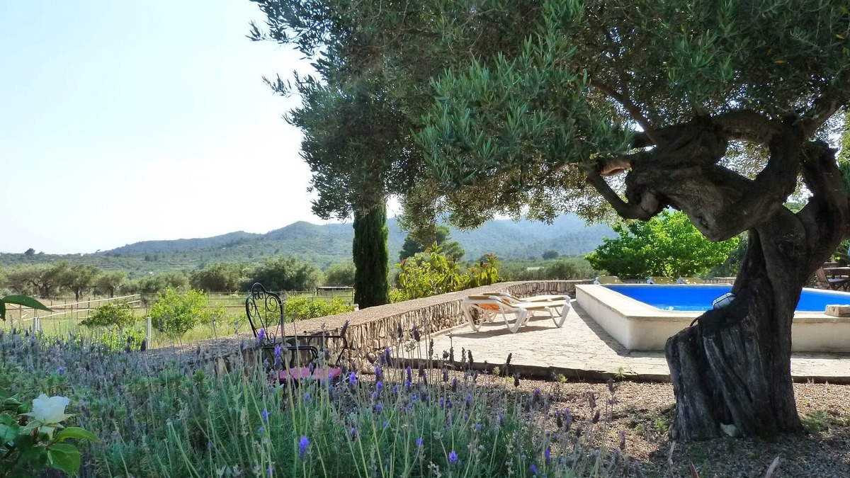 Tortosa House | Jolie Petite Maison À LA Campagne 15mn DE LA MER