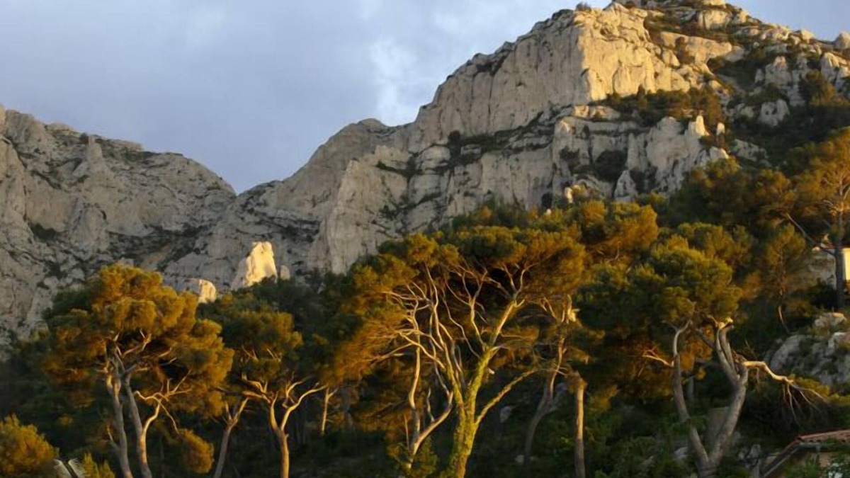 Montredon Apartment | Jolie rental 1-5 pers quiet area between Marseille beaches and Calanques