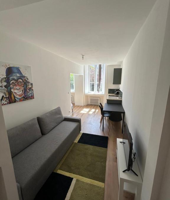 Aurillac Apartment | Joyau historique 101