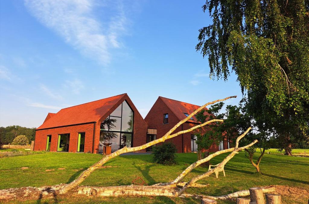 Tournai House | Jubaru
