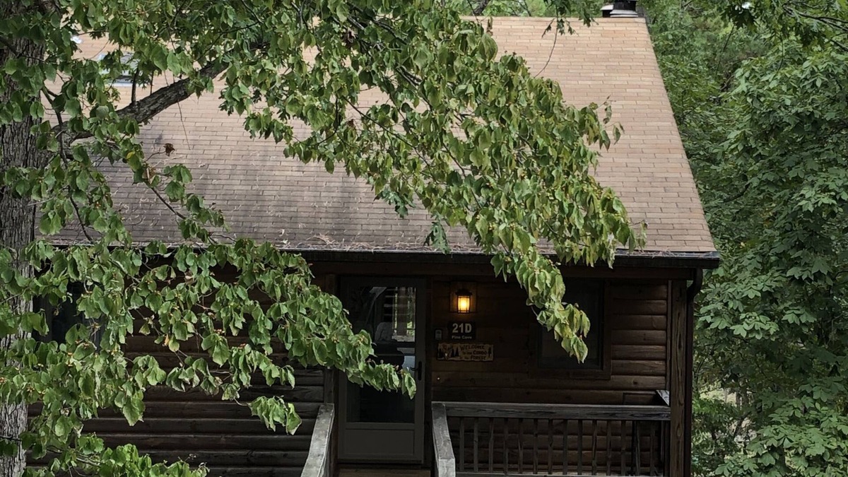 Mount Ida Condo | Judy's Condo in the Forest at Lake Ouachita