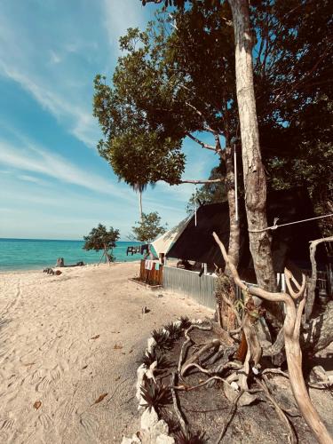 Pulau Perhentian Besar Other | Juita Glamping Perhentian island
