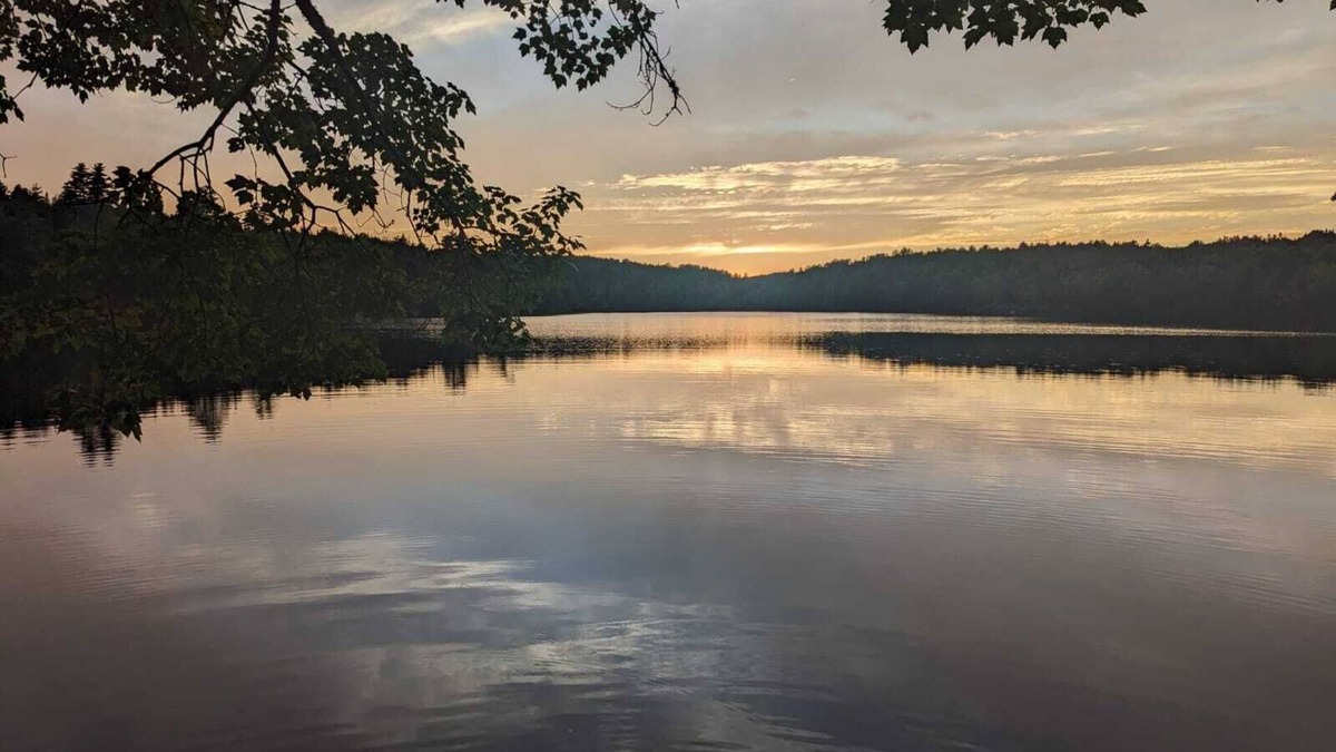 Aldersville Cottage | June's Haven" is a picturesque lakeside cottage perfect for fishing