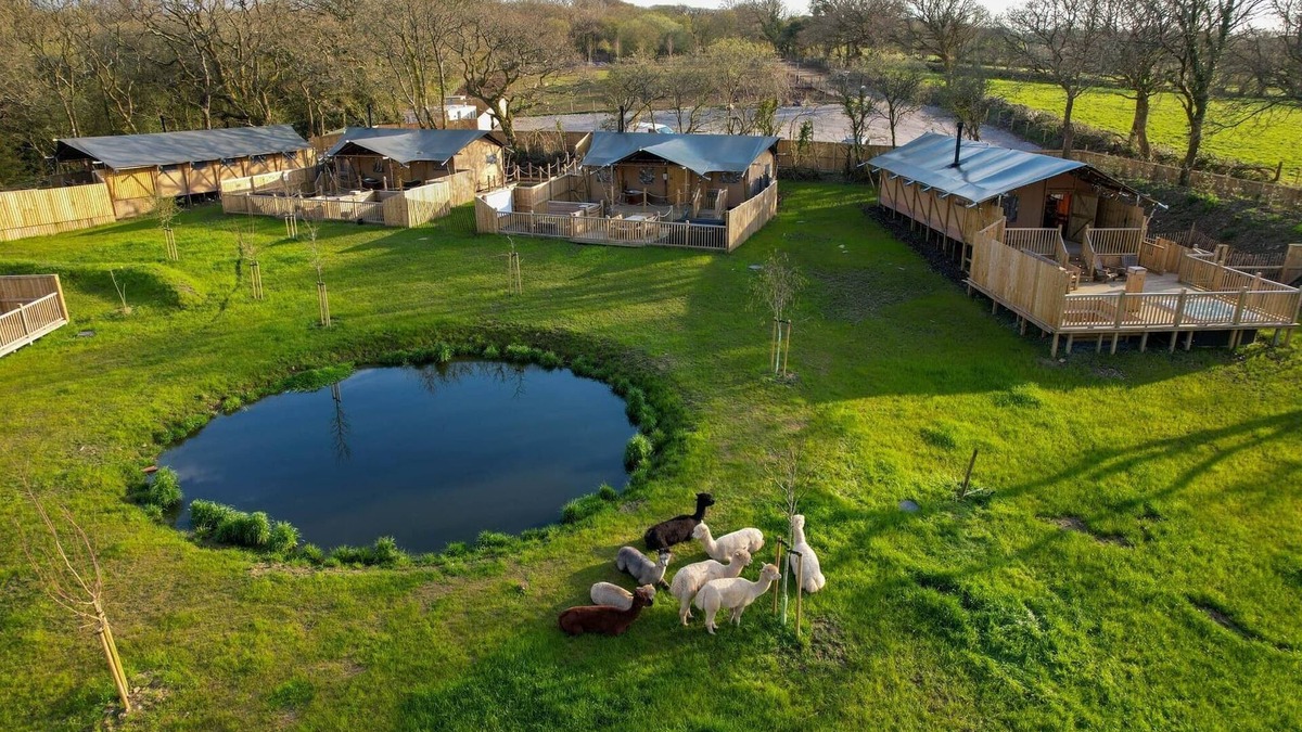 Tenby RV Rental | Jungle Book Safari Tent