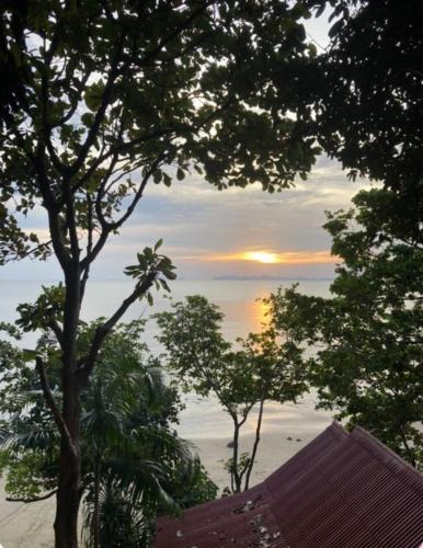 Nuea Khlong House | Jungle Hill Beach Bungalow