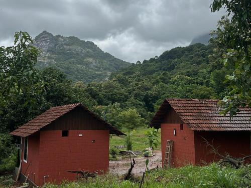 Chittur House | Jungle Homes