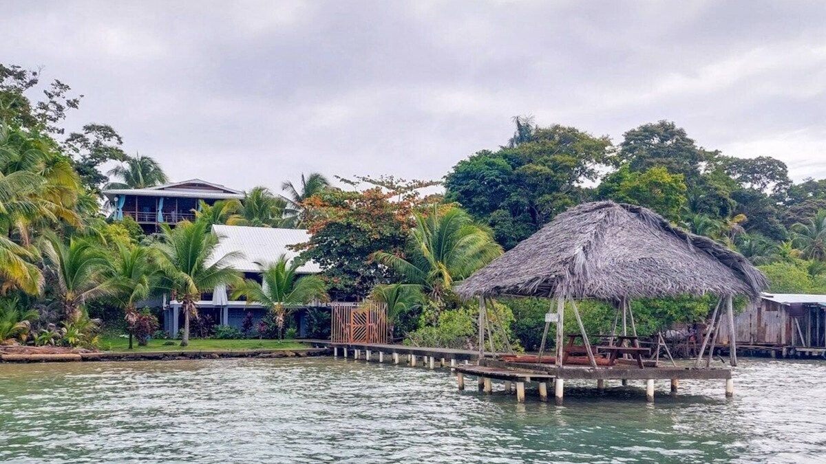 Isla Solarte House | Jungle House Isla Solarte Bocas del Toro