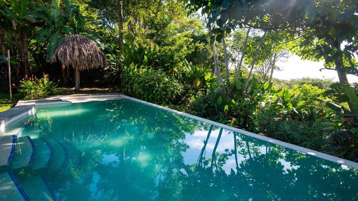 Cabuya Cabin | Jungle Lodge at Wild Sun Rescue