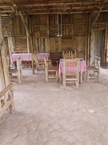 Kibale Cabin | Jungle Lodge Kibale
