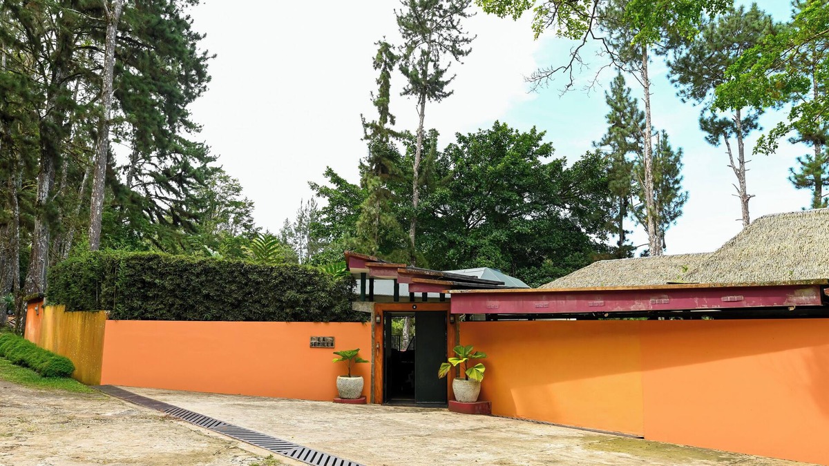 Cerro Azul Bed & Breakfast | Jungle Mansion - 9 Bedrooms with pool, bar, game room & more