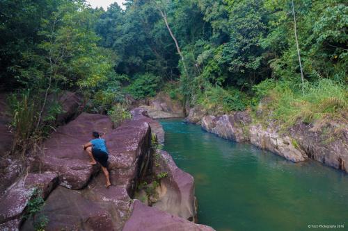 Ginigathena Resort | Jungle River