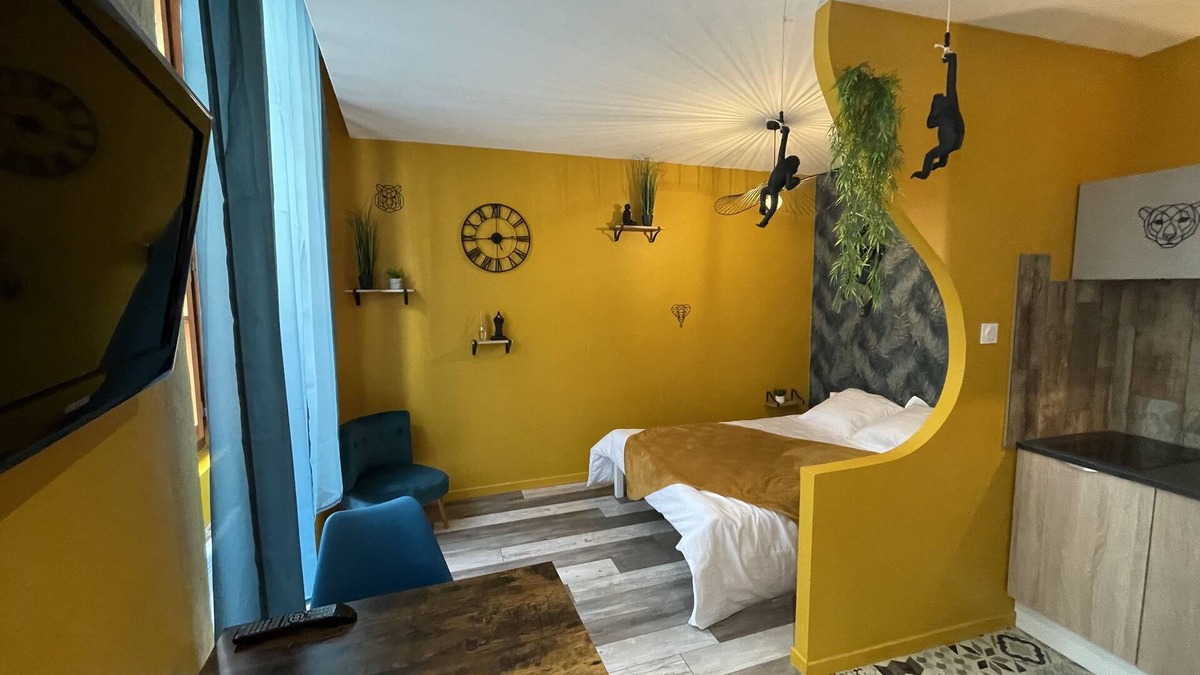 Romans-sur-Isere Apartment | JuNgLe ROOM