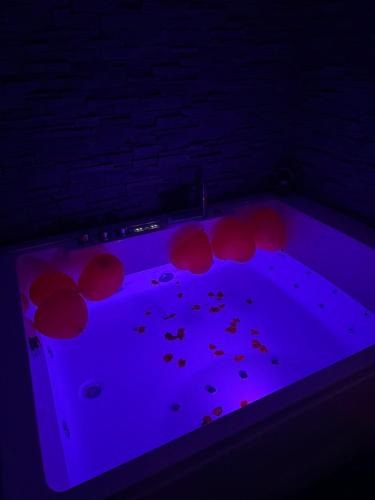 Koekelberg Apartment | Jungle suite romantic - private Jacuzzi -