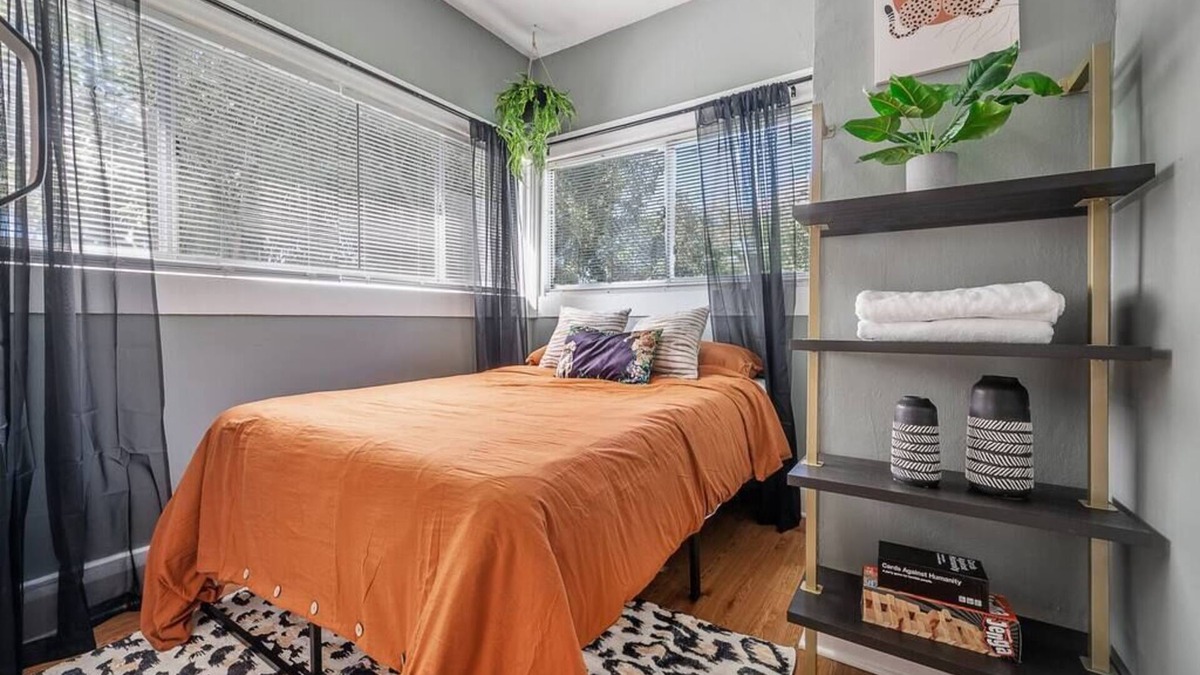 Seminole Heights Apartment | Jungle Themed Apt Close to Coffee Food and Shops!
