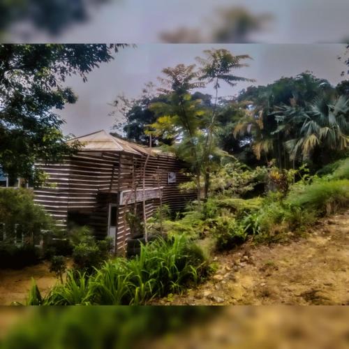 Medadumbara Bed & Breakfast | Jungle Tree House Rangala