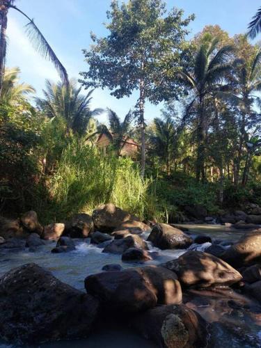 East Selemadeg Ski Chalet | JungleHavenBali - Private and Nature Stay