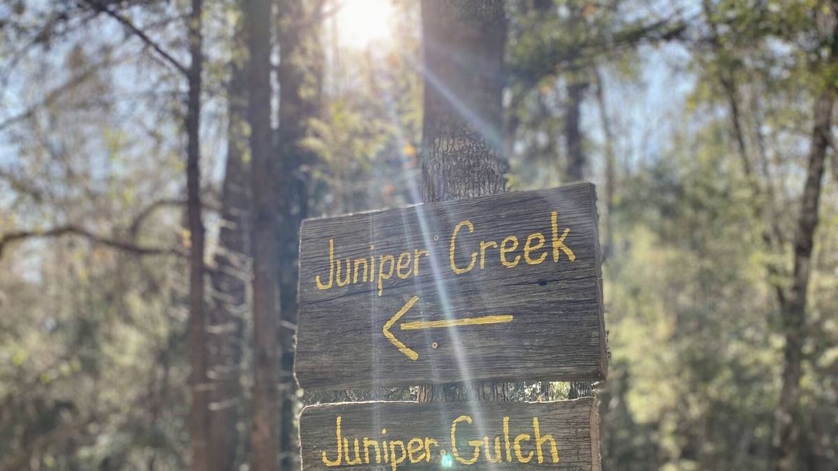 Harold Cottage | Juniper Creek Cottage- on 10 acres with a creek!