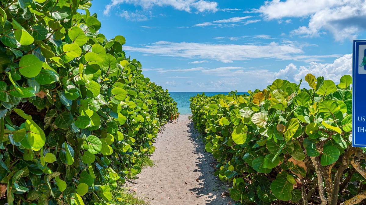 Juno Beach Condo | Juno Beach Landings 2 | Local Gem on the Beach!