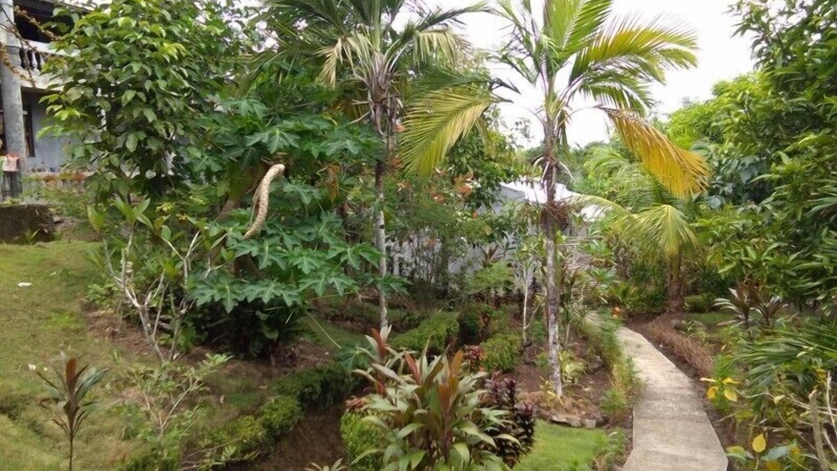 Lawaan Hotel | Jupiter's Garden Resort
