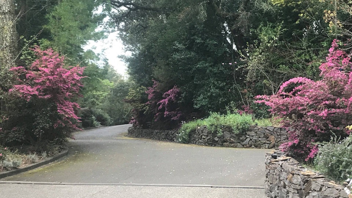 Scenic Brush Creek House | Just minutes from Calistoga, Kenwood, Sonoma and Napa