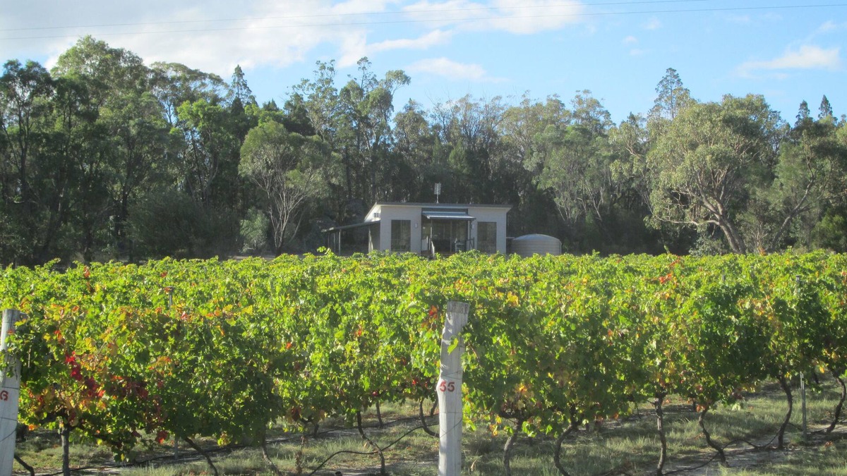 Ballandean Cabin | Just Red Wines Vineyard Cabins