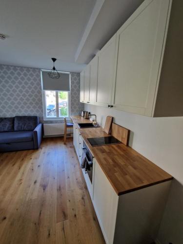 Kesklinn Apartment | Juurdeveo Apartment