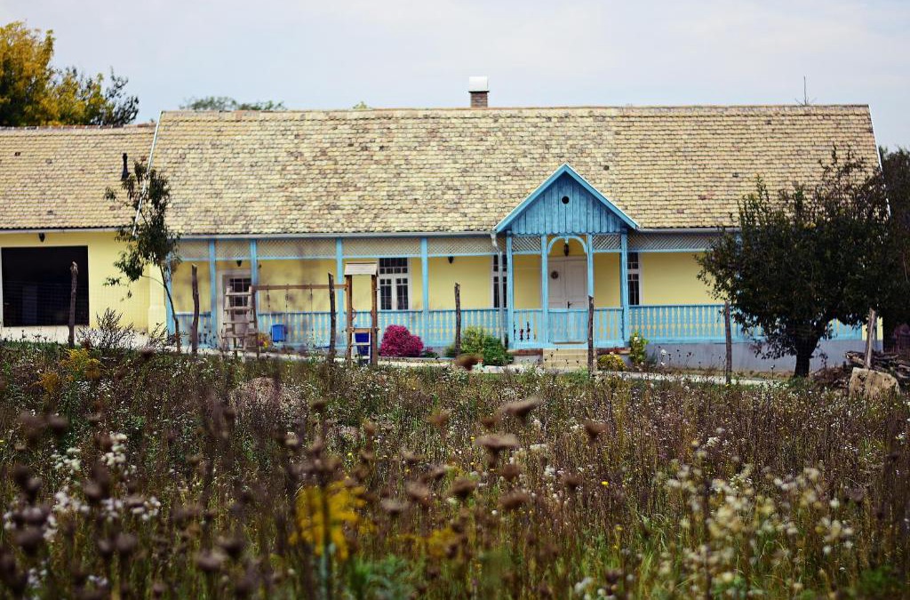 Polany House | Kéktornácos Ház
