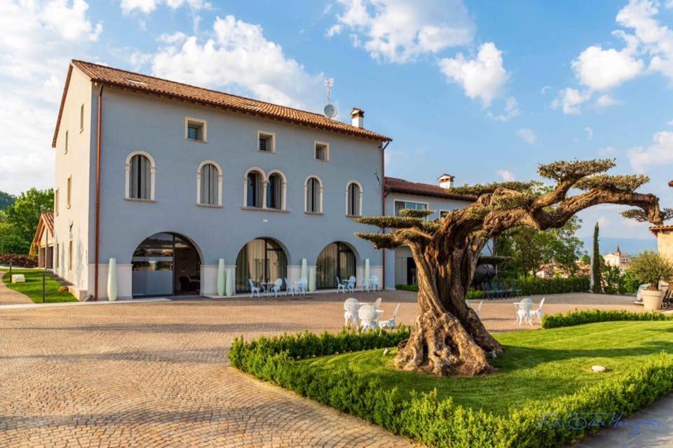 Malo Hotel | K-Farm