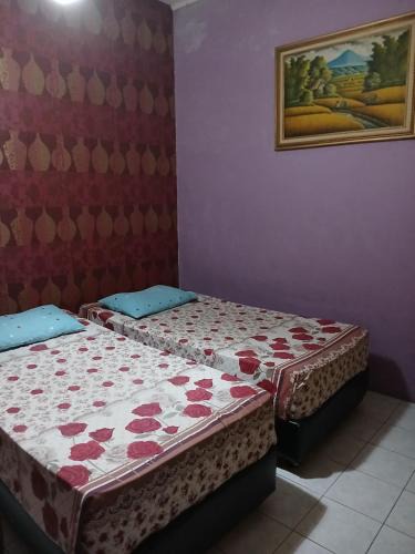 Medan House | K77 Backpackers - Jungle Tours
