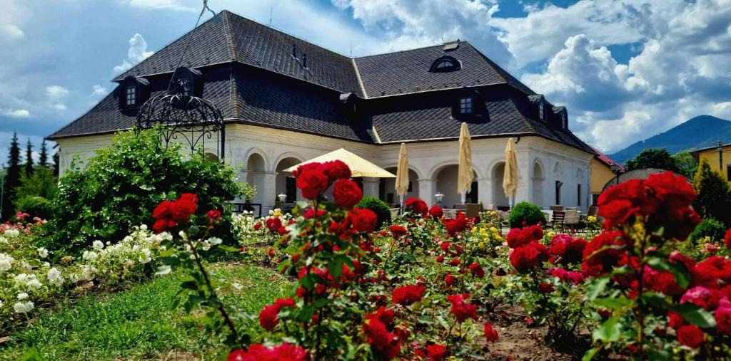 Kostany nad Turcom House | Kaštieľ Košťany