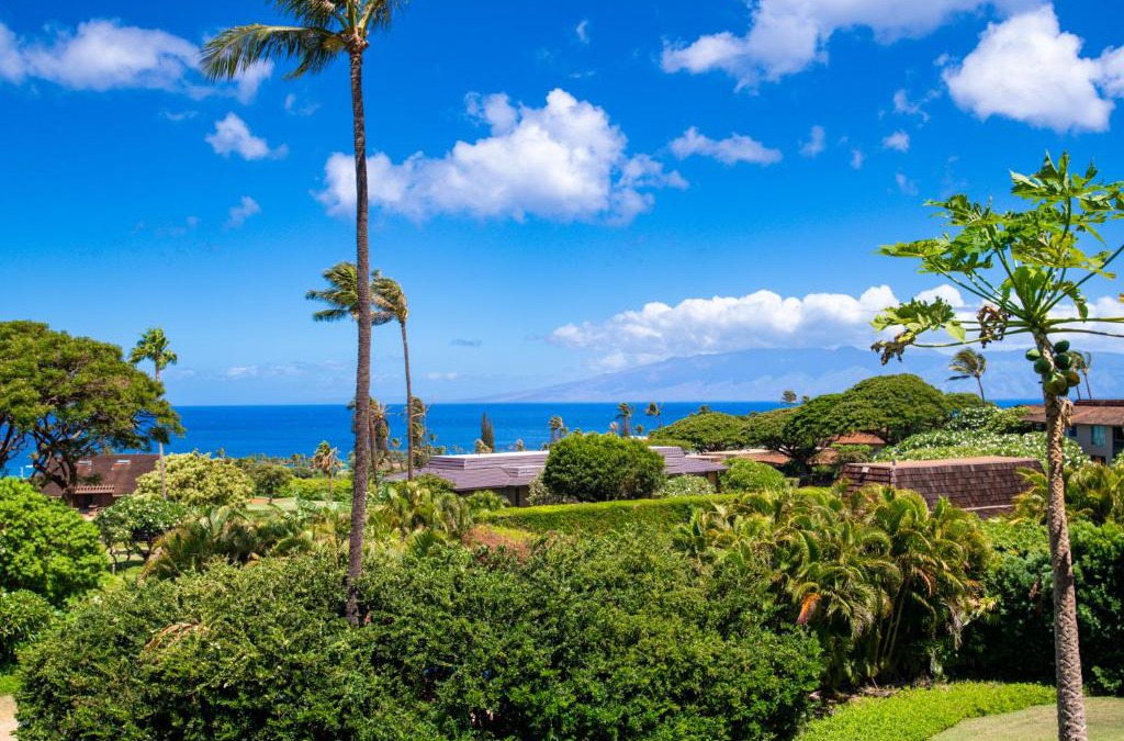 Kaanapali House | Kaanapali Plantation 54