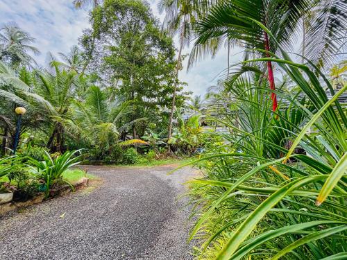 Kadalundi Bed & Breakfast | kadalundi Heritage