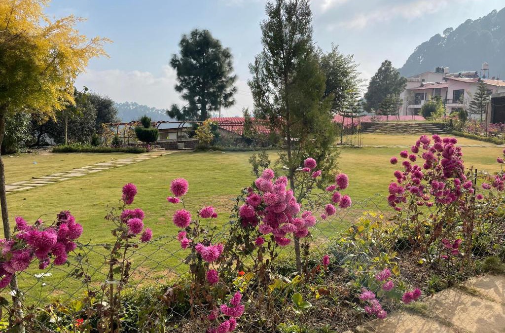 Shyamkhet House | KAFAL TREE Home Stay - PET FRIENDLY