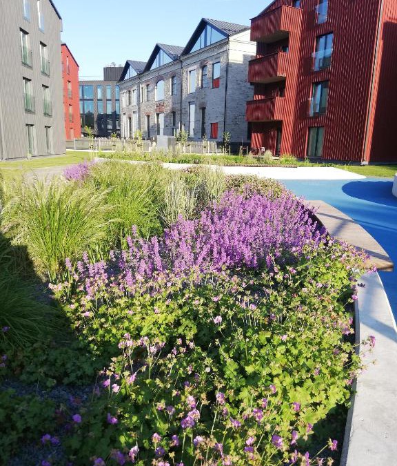 Kalamaja Apartment | Kalamaja Garden