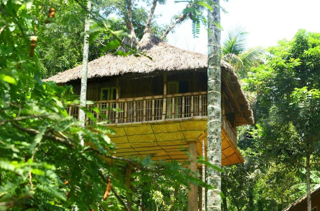 Kaimane Villa | Kalidasa Tree House and Villa, Wayanad