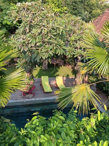 Bangunjiwo House | Kalipura Villa Kasongan