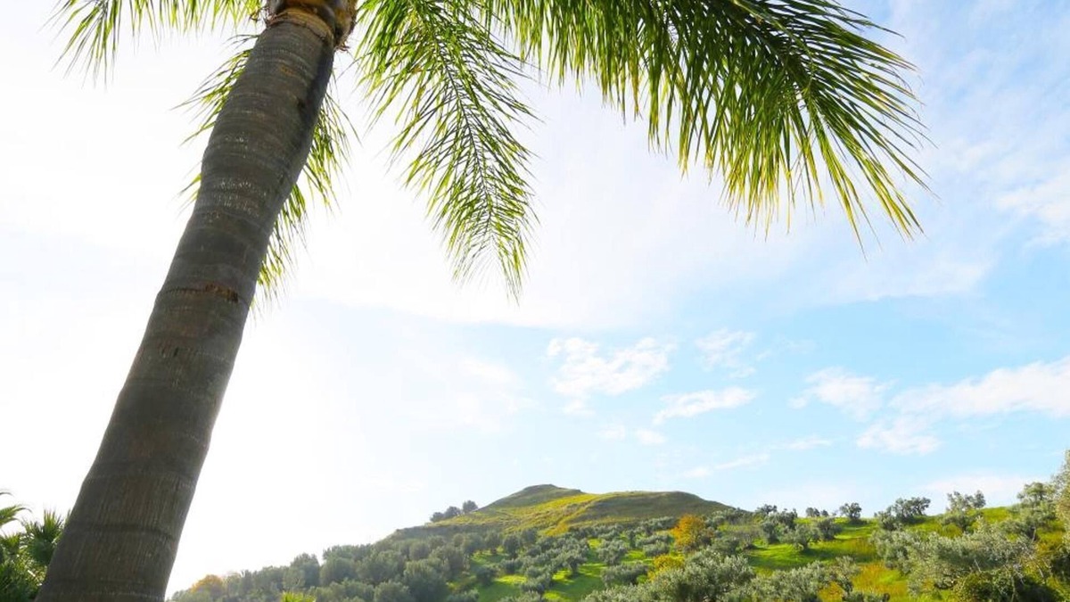 Settingiano Bed & Breakfast | Kalos Relais