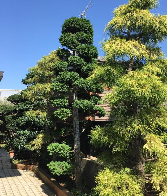 Kamagaya House | Kamagaya - House - Vacation STAY 9556