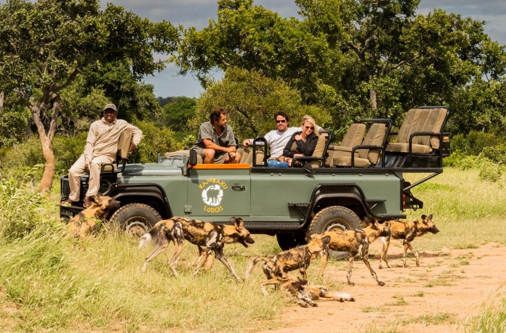 Thorny Bush Game Reserve Cabin | Kambaku Safari Lodge